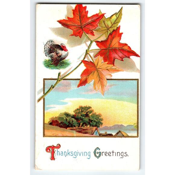 Vintage 1911 Thanksgiving Postcard with Turkey & Autumn Leaves - Picture 1 of 2
